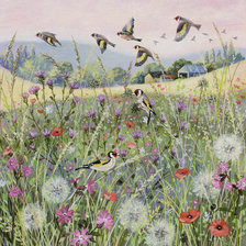 Схема вышивки «Люси гроссмит»