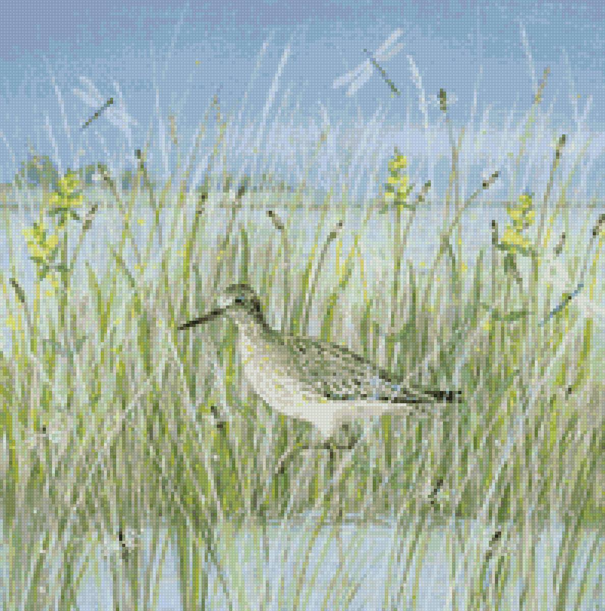 Люси гроссмит - лето река вода птицы - предпросмотр