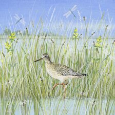 Люси гроссмит