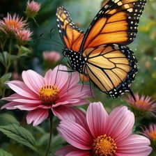 Схема вышивки «Бабочка»