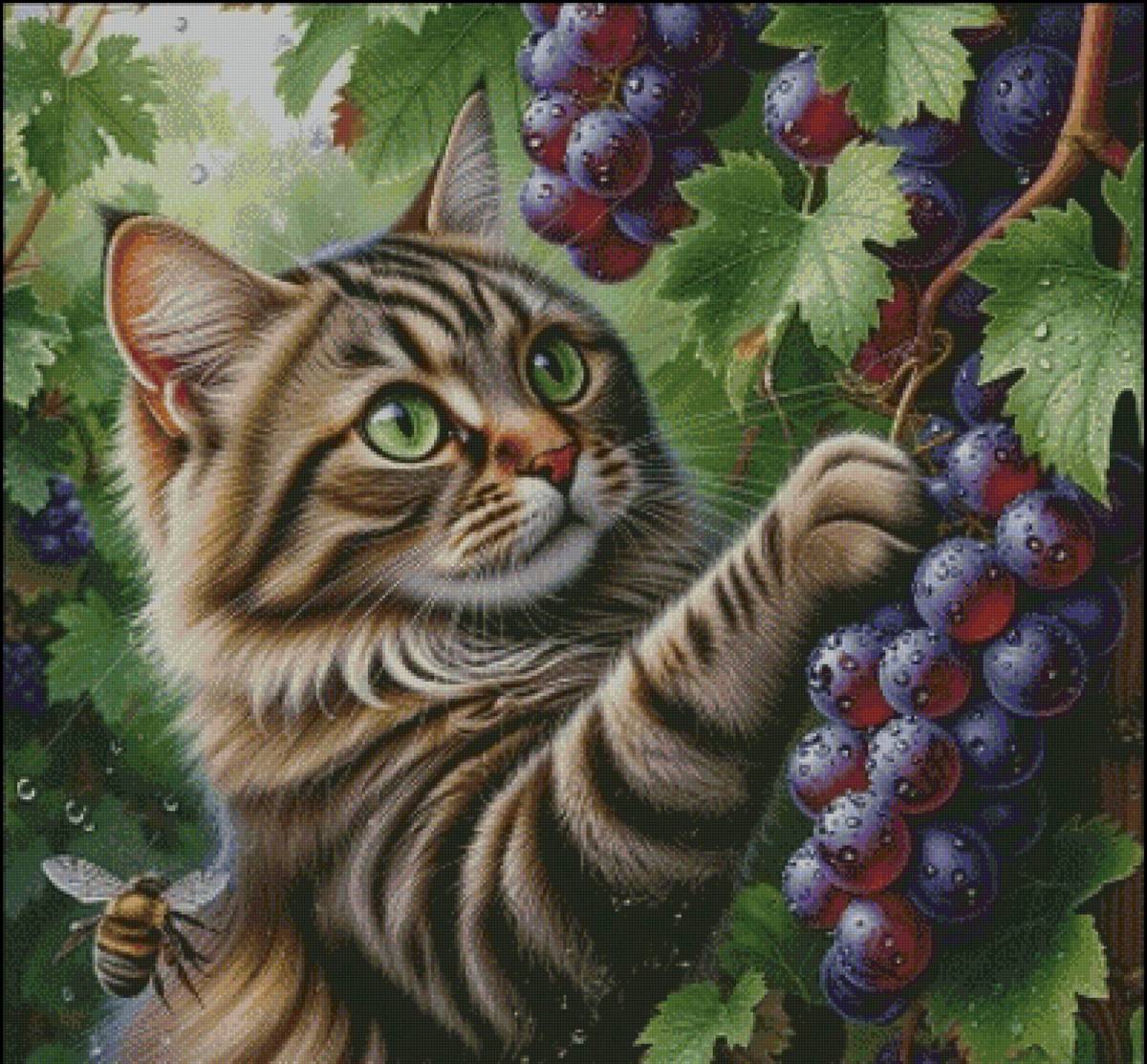 Котик - предпросмотр