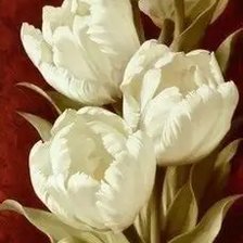 Схема вышивки «Tulipes blanches»