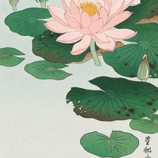 Схема вышивки «Китайские лотосы»