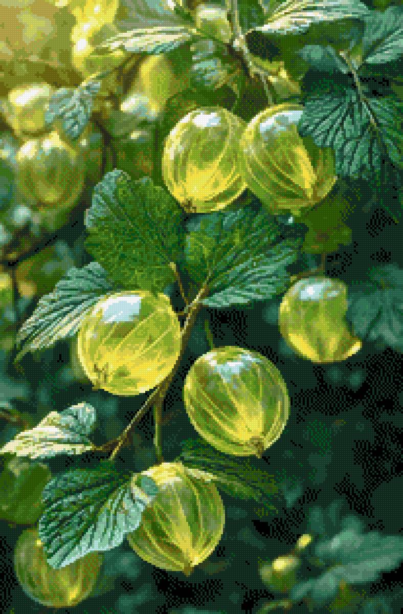 крыжовник - крыжовник зеленый - предпросмотр