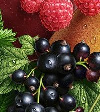 Схема вышивки «Фрукты»