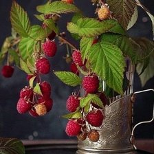 Схема вышивки «Малинка»