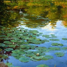 Схема вышивки «Левин»