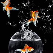 Схема вышивки «Золотые Рыбки»