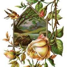 Схема вышивки «пейзаж  с розой»