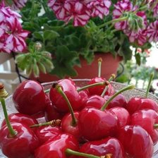 Схема вышивки «Вишня🍒»