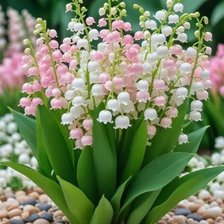 Схема вышивки «Ландыши»