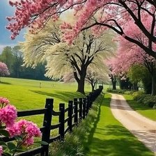 Схема вышивки «Фазенда»