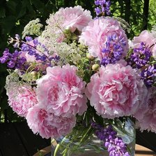 Схема вышивки «Пиони2»