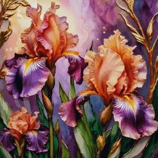 Iris colorés
