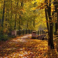 Схема вышивки «Осенний парк»