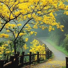 Схема вышивки «Осень»