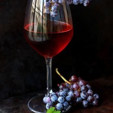 Схема вышивки «Винишко»