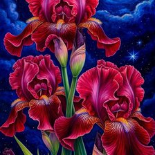 Схема вышивки «цветы»