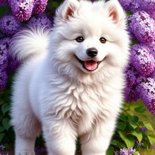 Схема вышивки «№2902027»