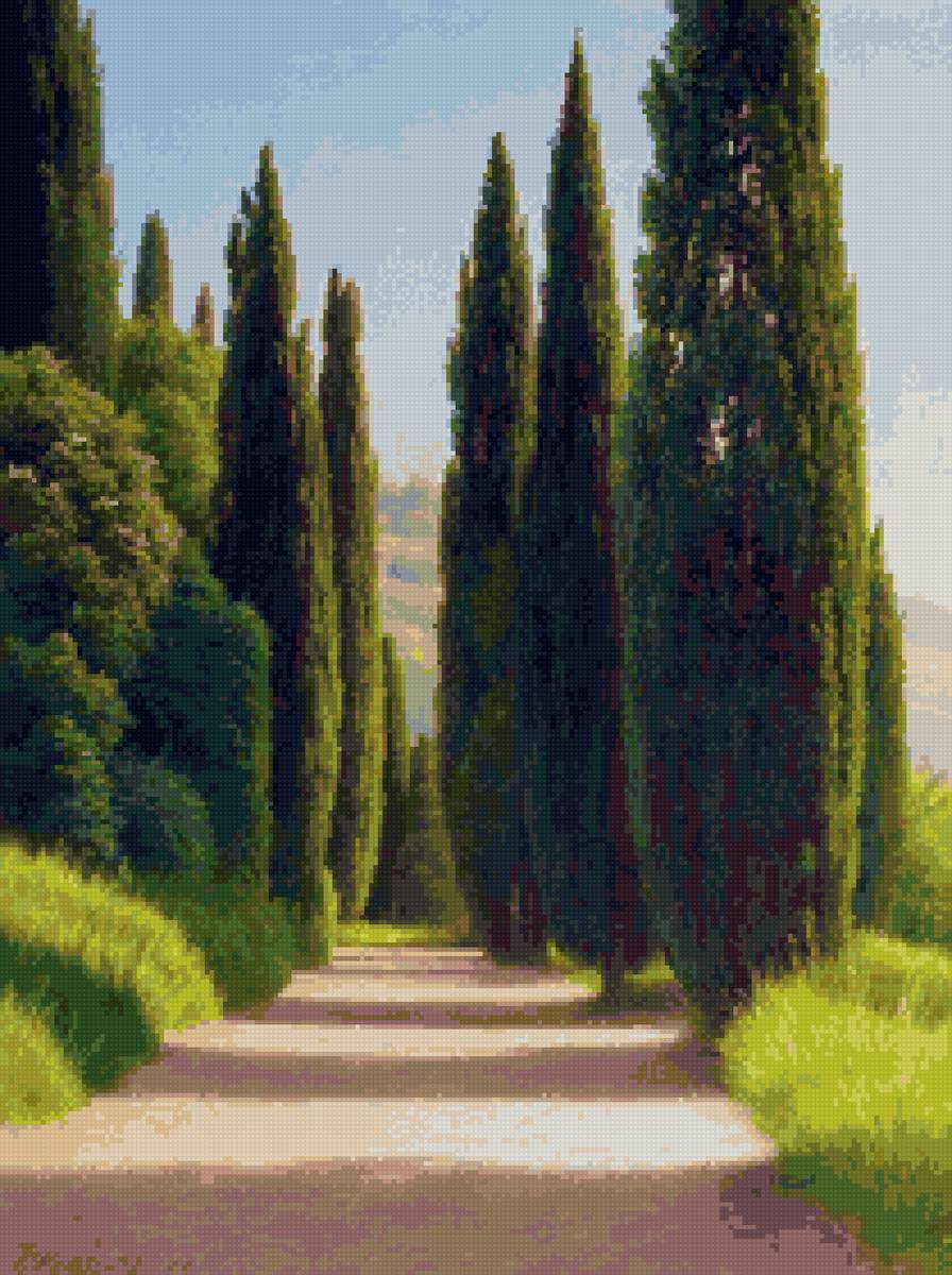 №2902208 - лето кипарисы море природа пейзаж - предпросмотр