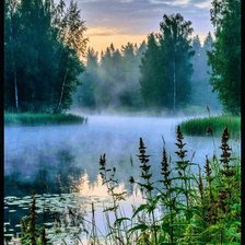 Схема вышивки «Утро, туман»