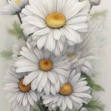 Схема вышивки «Ромашки на светлом»