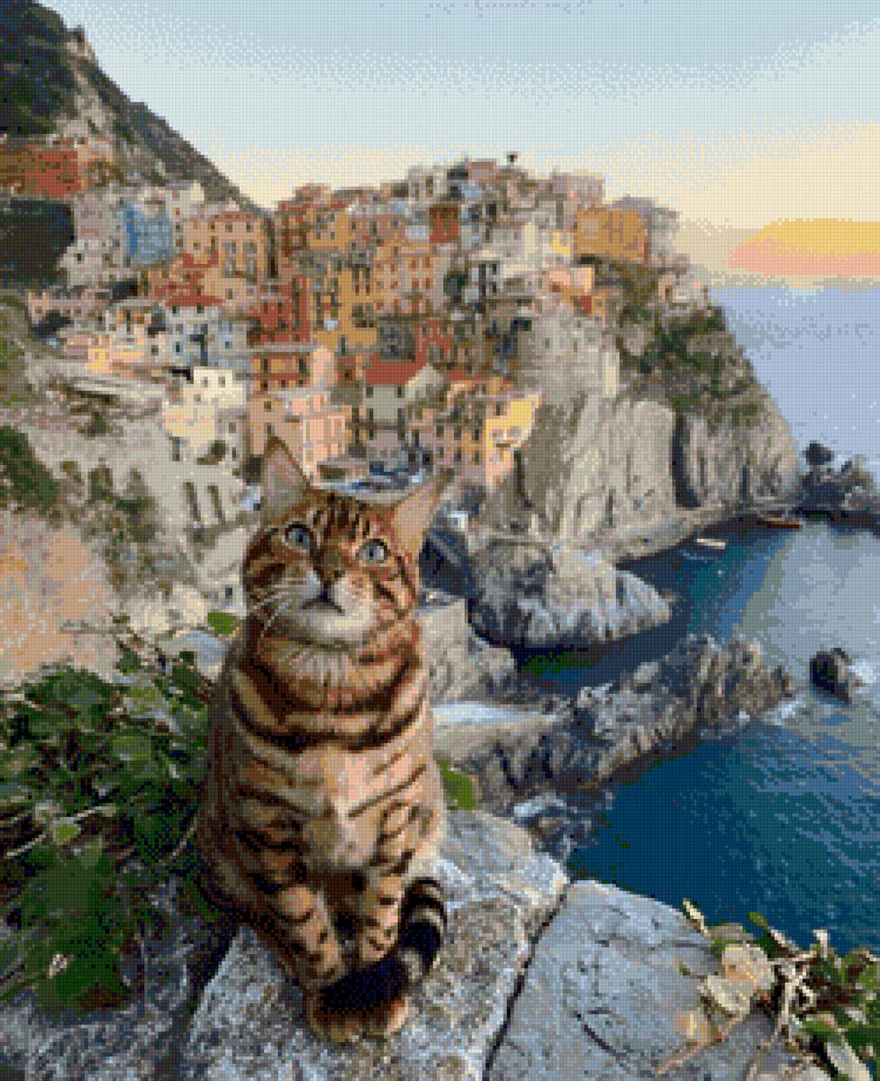 cat and sunset - предпросмотр