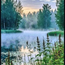 Схема вышивки «Утро, туман»