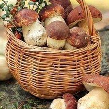 Схема вышивки «Грибочки»