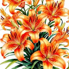 Схема вышивки «Лилии»