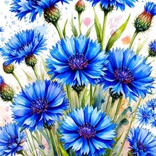 Схема вышивки «Васильки»