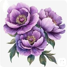 Схема вышивки «Пионы»