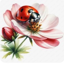 Схема вышивки «Божья коровка на цветке»