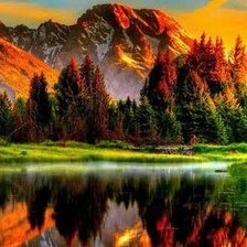 Схема вышивки «природа»