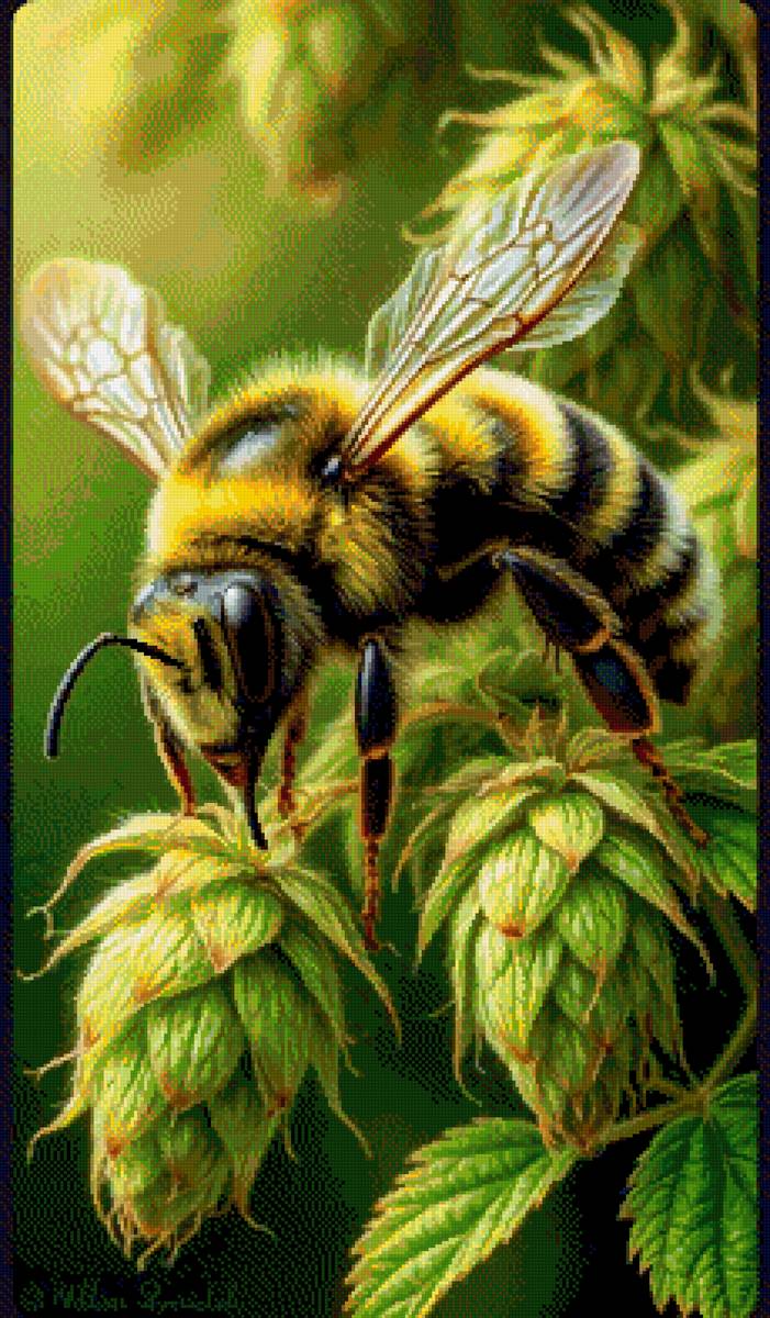 Шишки - шмель - предпросмотр