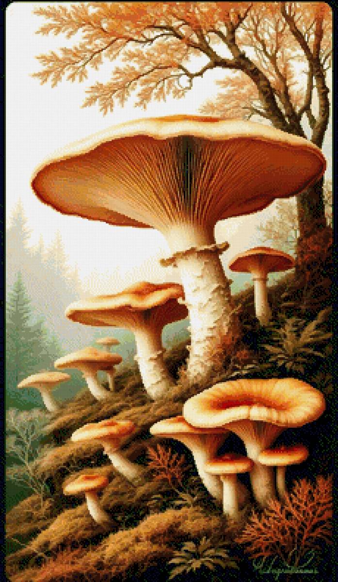 Лес - грибы - предпросмотр