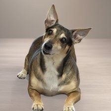 Схема вышивки «Арчи2»