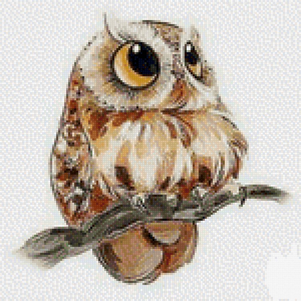 Совушка - сова, птица - предпросмотр