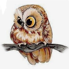 Схема вышивки «Совушка»