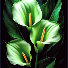 Схема вышивки «Цветы»