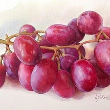 Схема вышивки «№2905965»