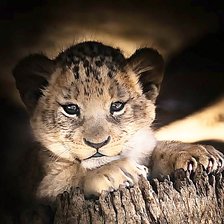 Схема вышивки «№2906055»