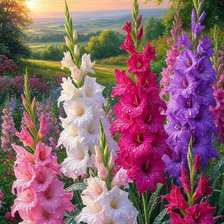 Схема вышивки «Пейзаж с гладиолусами»