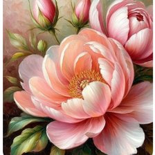 Схема вышивки «Пионы»