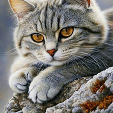 Схема вышивки «№2906514»