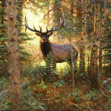 Схема вышивки «Лесной олень. Марк Китли»