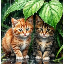 Схема вышивки «Под дождем»