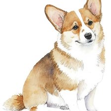 Схема вышивки «Корги»