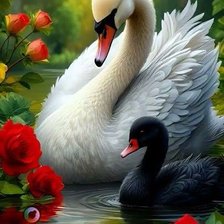 Схема вышивки «Лебеди»