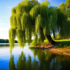 Схема вышивки «№2908644»